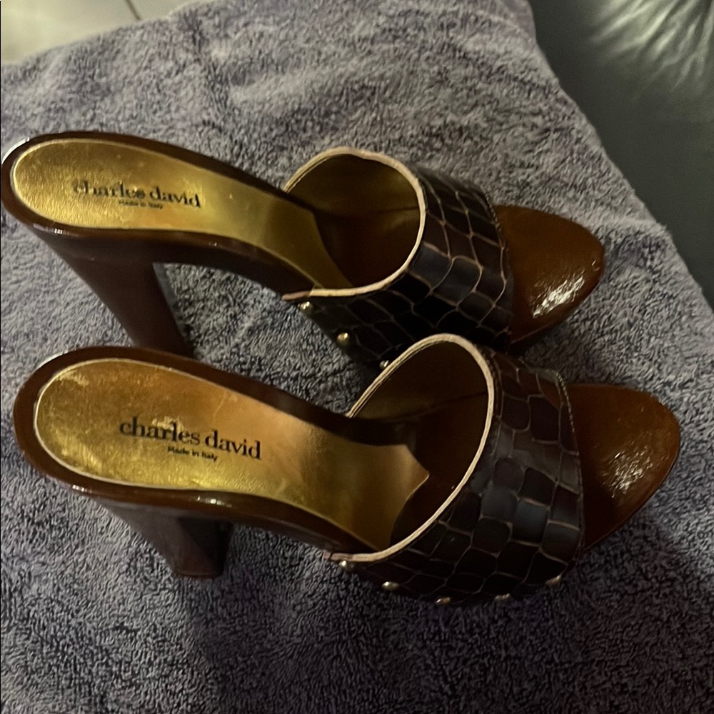 Charles David Brown Leather Heels